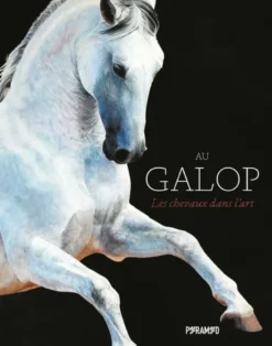 Au Galop - Les Chevaux Dans L'