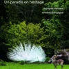 Branféré - Un paradis en héritage