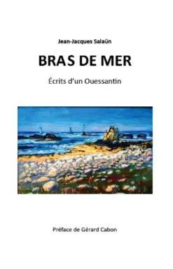Bras de mer