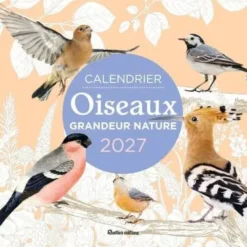 Calendrier Oiseaux grandeur nature 2027