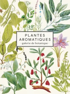Carnet Plantes aromatiques - Leçons de botanique