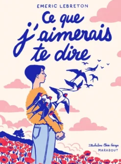 Ce que j'aimerais te dire - version illustrée