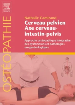 Cerveau pelvien - axe cerveau-intestin-pelvis