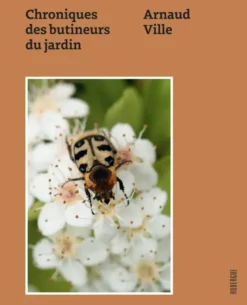 Chroniques des butineurs du jardin