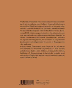 Chroniques des butineurs du jardin