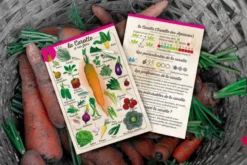 Coffret Le petit potageur