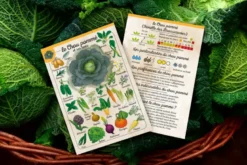 Coffret Le petit potageur