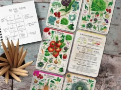 Coffret Le petit potageur