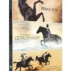 Coffret l'étalon noir + le prince noir : 3 films