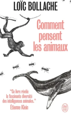 Comment pensent les animaux