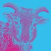 Conter les moutons