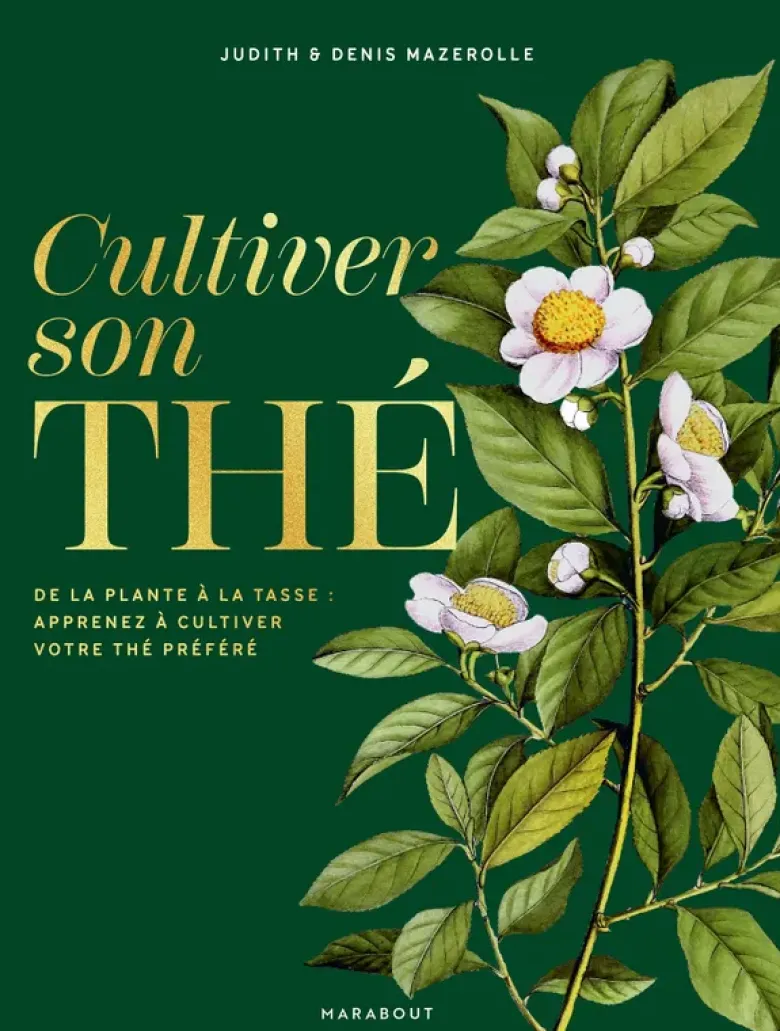 Cultiver son thé