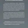 Cybercombattante