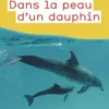 Dans la peau d'un dauphin