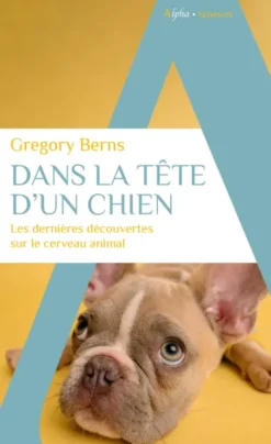 Dans la tête d'un chien