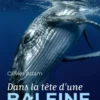 Dans la tête d'une baleine
