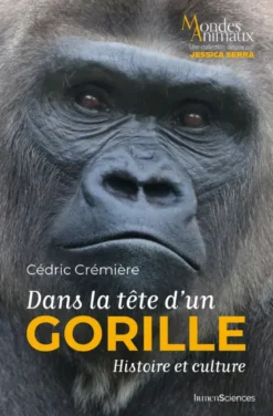 Dans la tête d'un gorille