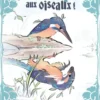 Des dinosaures aux oiseaux !