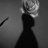 Dior par Yuriko Takagi
