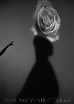 Dior par Yuriko Takagi