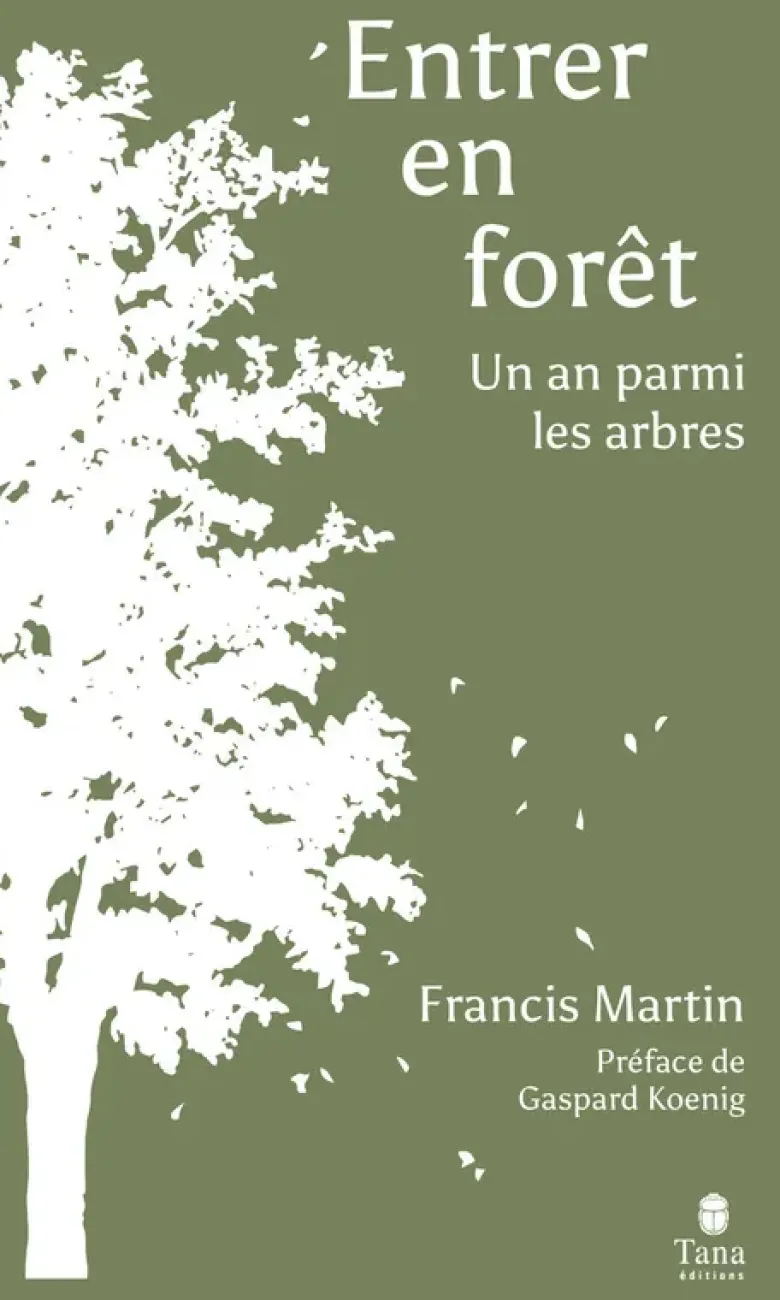 Entrer en forêt - Un an parmi les arbres