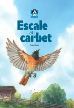 Escale au carbet