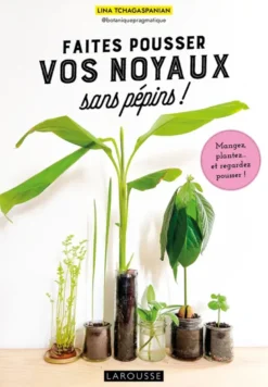 Faites pousser vos noyaux sans pépins !