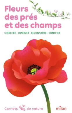 Fleurs des prés et des champs