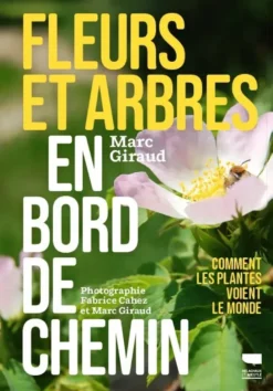 Fleurs et arbres en bord de chemin
