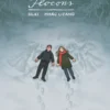 Flocons
