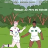 Football(s). Histoire, culture, économie, société – n° 8