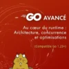 Go avancé