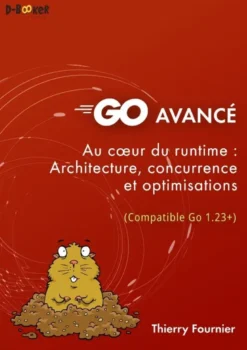 Go avancé