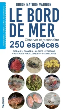 Guide nature Vagnon - Le bord de mer - Observer et reconnaître 250 espèces
