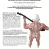 Guitariste & Anatomie