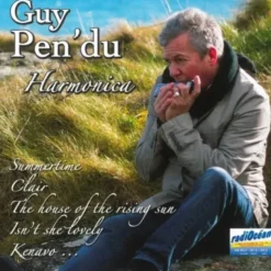 harmonica