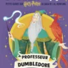 Harry Potter - Potter et Compagnie - Professeur Dumbledore