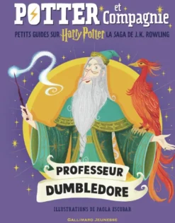 Harry Potter - Potter et Compagnie - Professeur Dumbledore