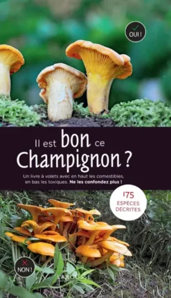 Il est bon ce champignon ?