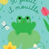 Il pleut, il mouille