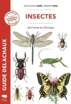 Insectes de France et d'Europe