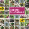 Insectes en Montagne (2e ed)