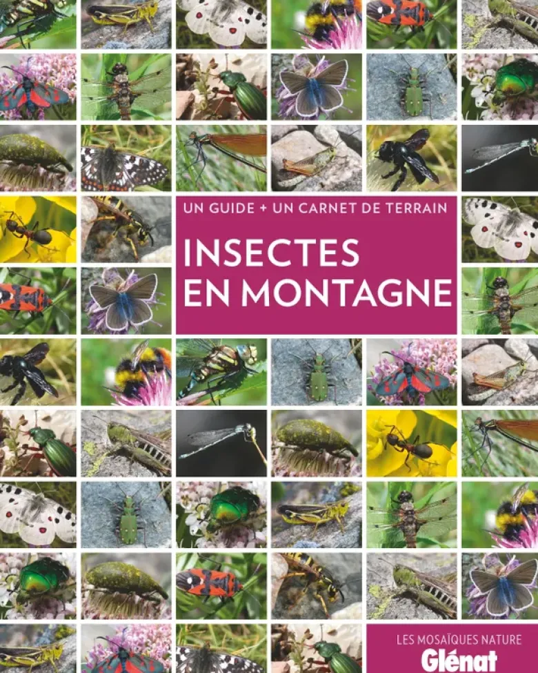Insectes en Montagne (2e ed)