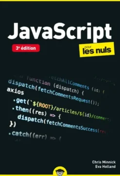 JavaScript Pour les Nuls Poche - 3e édition