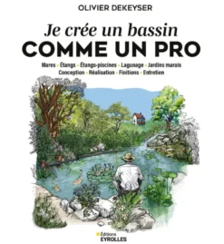 Je crée un bassin dans mon jardin