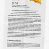 Je pige enfin le FLE !