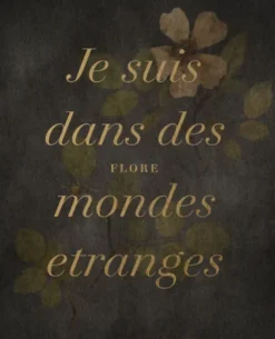 Je suis dans des mondes étranges - La présence de Frédéric C