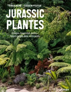 Jurassic Plantes - Ginkgos, magnolias, prêles... l'esprit jungle dans votre jardin