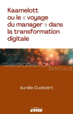 Kaamelott ou le « voyage du manager » dans la transformation digitale