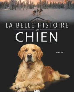 La belle histoire du chien